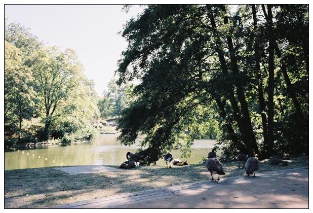 Stadtpark Bismarckturm (Bochum) #4