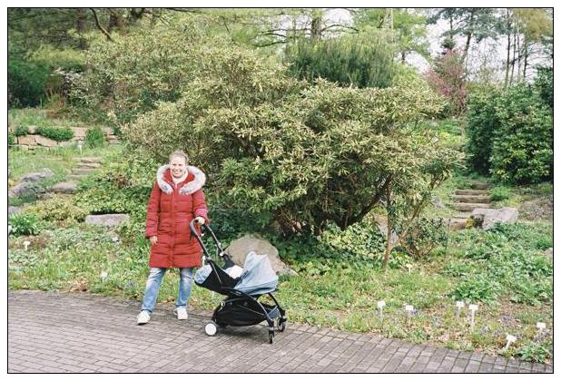 Botanischer Garten (Bochum)