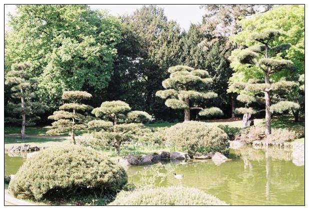 Nordpark (Düsseldorf) #4