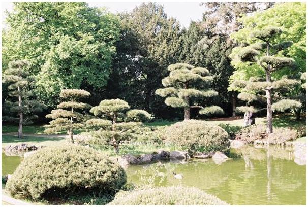 Nordpark (Düsseldorf) #4