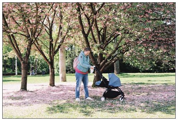 Nordpark (Düsseldorf)