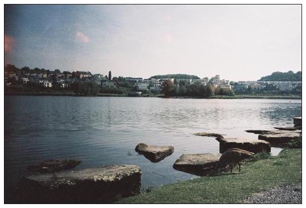 Phoenixsee (Dortmund) #1