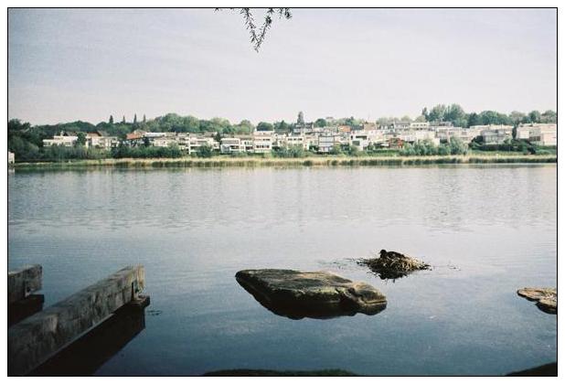 Phoenixsee (Dortmund) #4