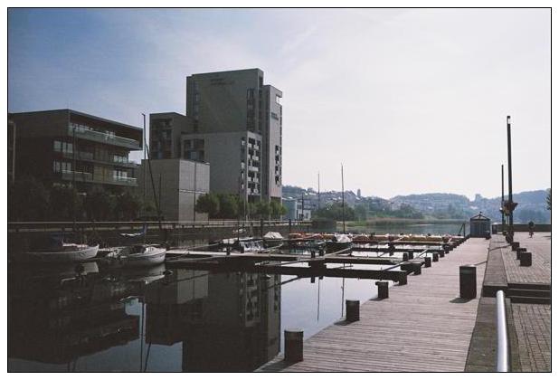 Phoenixsee (Dortmund) #8