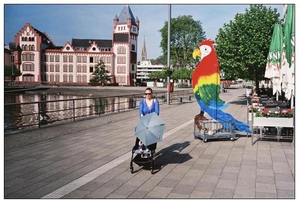 Phoenixsee (Dortmund) #9