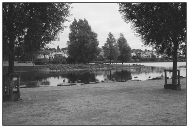 Phoenixsee (Dortmund) #15