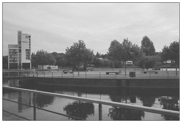 Phoenixsee (Dortmund) #17