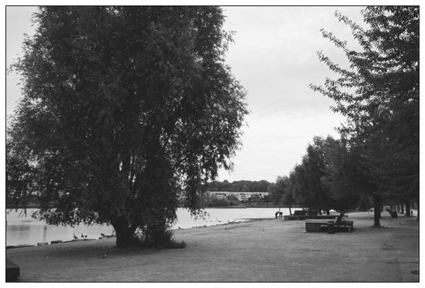 Phoenixsee (Dortmund) #18