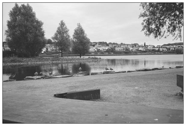 Phoenixsee (Dortmund) #20