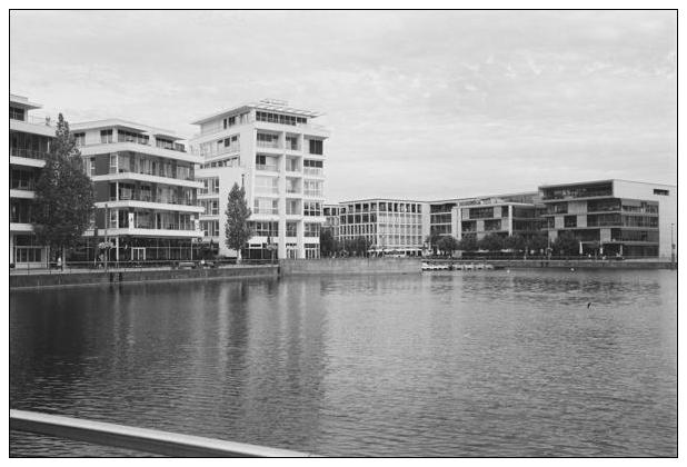 Phoenixsee (Dortmund) #25