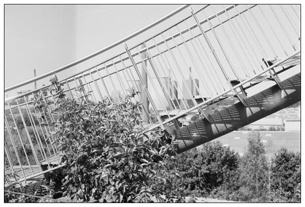 Tiger & Turtle (Duisburg) #5