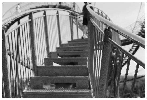 Tiger & Turtle (Duisburg) #8