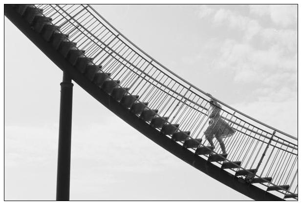 Tiger & Turtle (Duisburg) #20