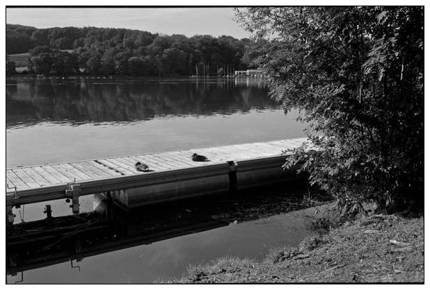 Baldeneysee (Essen) #31