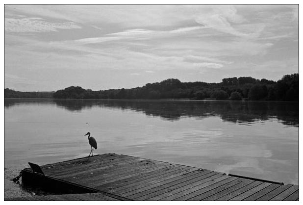 Baldeneysee (Essen) #34