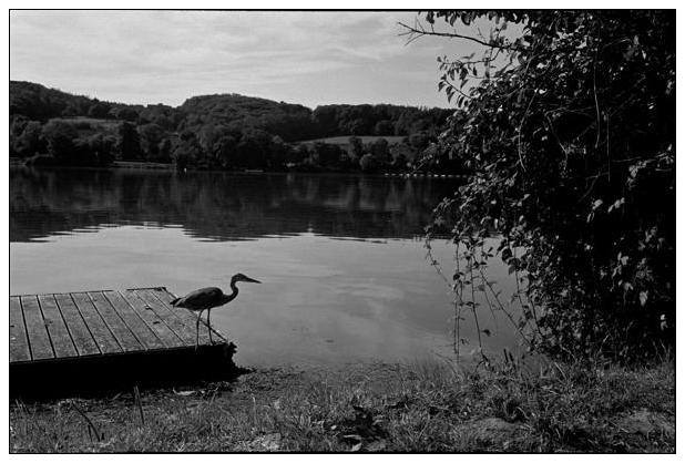 Baldeneysee (Essen) #35