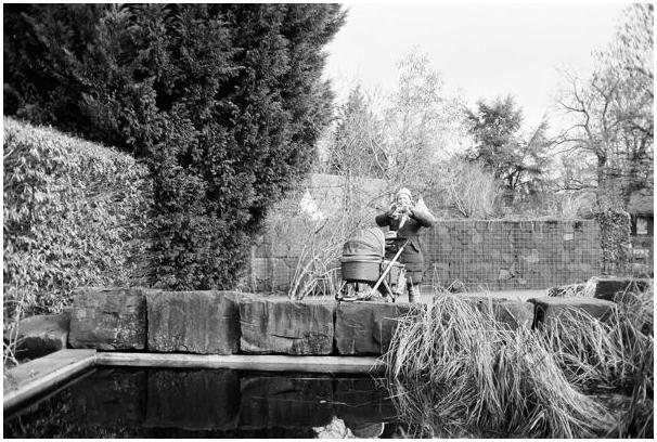 Agfa APX 100