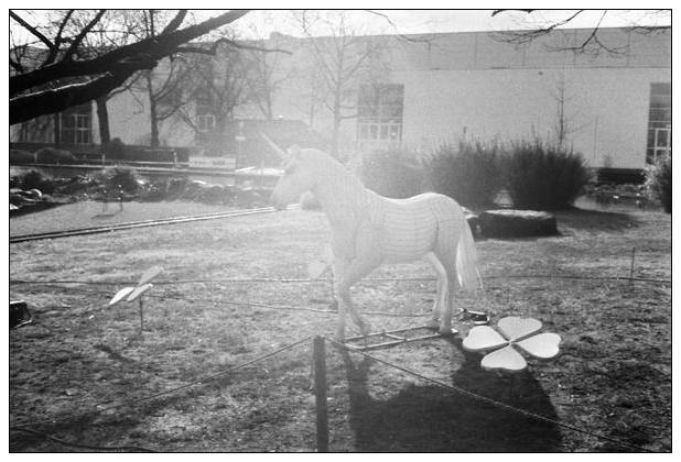 Grugapark (Essen) #2