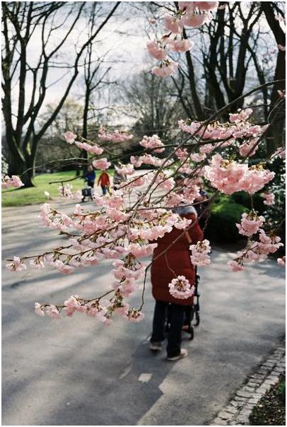 Grugapark (Essen) #7