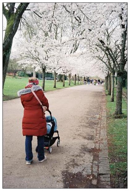 Grugapark (Essen) #16