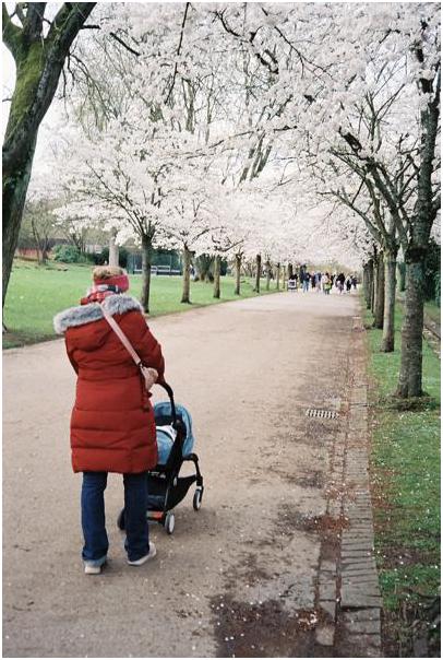 Grugapark (Essen) #11