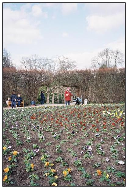 Grugapark (Essen) #12
