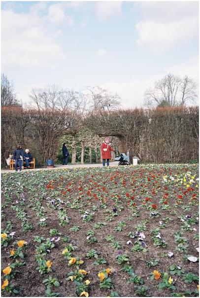 Grugapark (Essen) #12