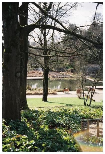 Grugapark (Essen) #20