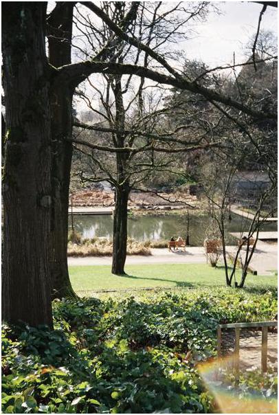 Grugapark (Essen) #14