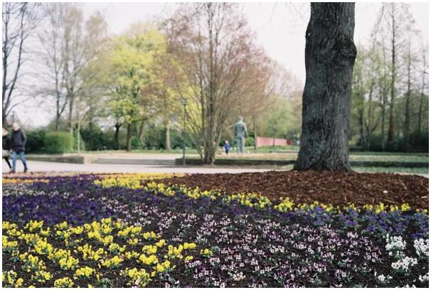 Grugapark (Essen) #24