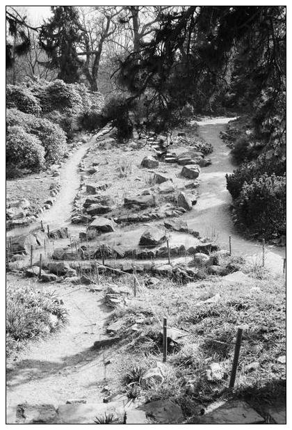 Grugapark (Essen) #26