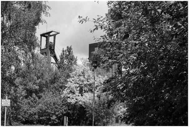 Zeche Zollverein (Essen) #13