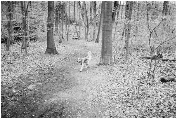 Emma #3