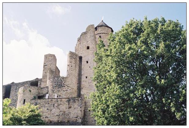 Greifenstein #6