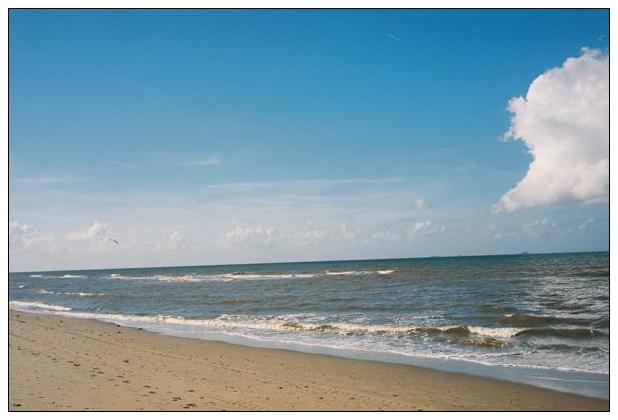 Katwijk aan Zee (NL) #24