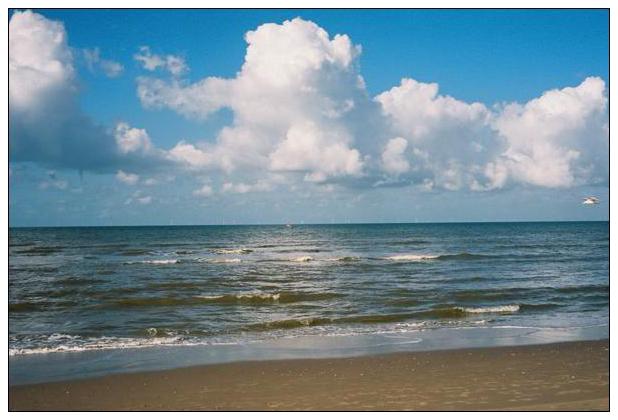 Katwijk aan Zee (NL) #25