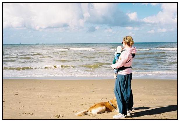 Katwijk aan Zee (NL) #26
