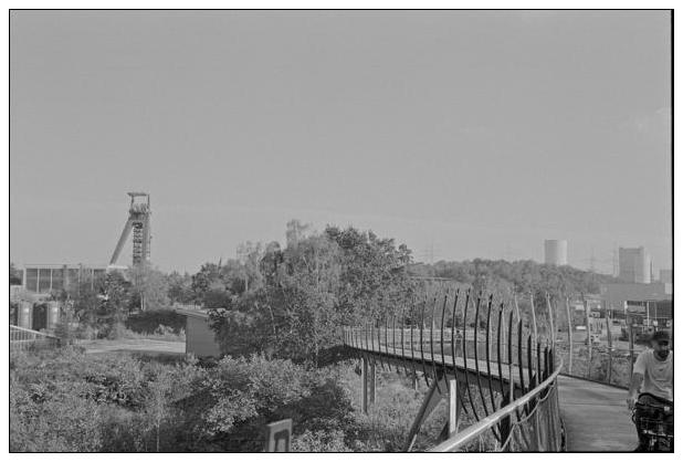 Landschaftspark Hoheward #4