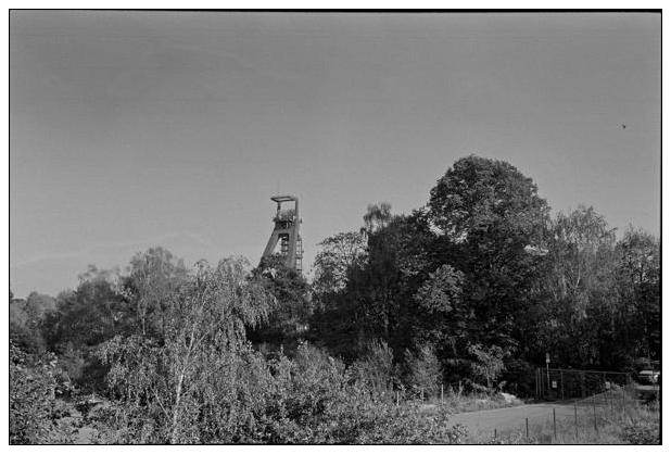 Landschaftspark Hoheward #5