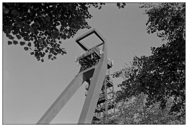 Landschaftspark Hoheward #6