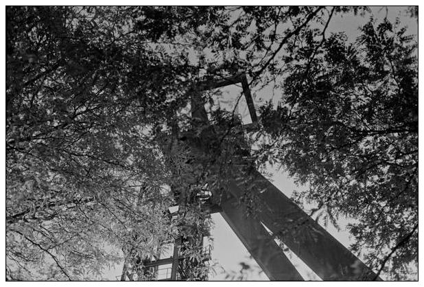 Landschaftspark Hoheward #13