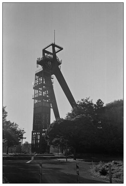Landschaftspark Hoheward #14