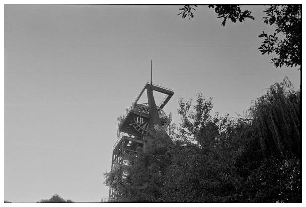 Landschaftspark Hoheward #17