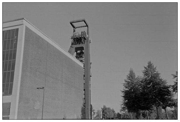 Landschaftspark Hoheward #20