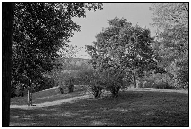 Landschaftspark Hoheward #21