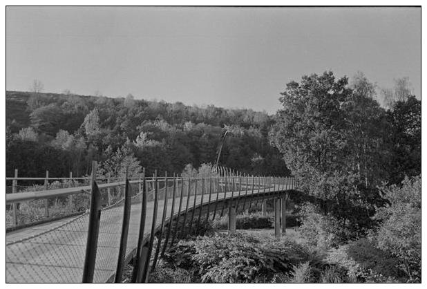 Landschaftspark Hoheward #22