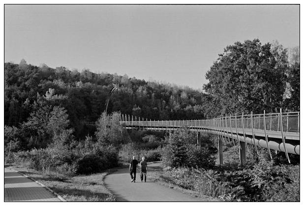 Landschaftspark Hoheward #23
