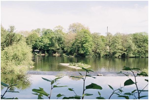 Mülheim an der Ruhr #6