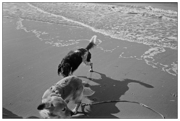 Noordwijk aan Zee (NL) #9