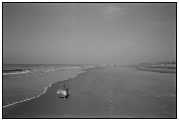 Noordwijk aan Zee (NL) #10